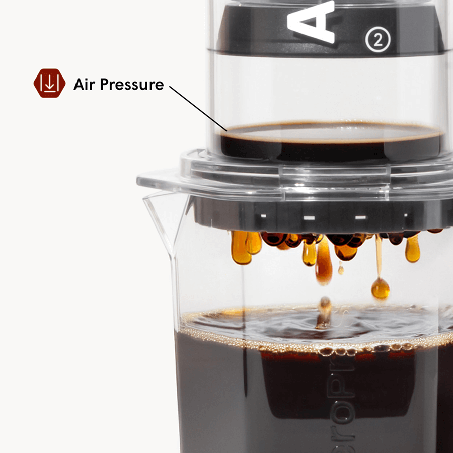 Traveler’s Bundle - Clear XL - Coffee Brewing Bundle for Complete Preparation