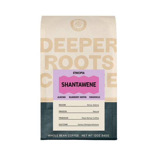 Ethiopia Shantawene 12 oz - Roasted Coffee for Everyday Home Brewing