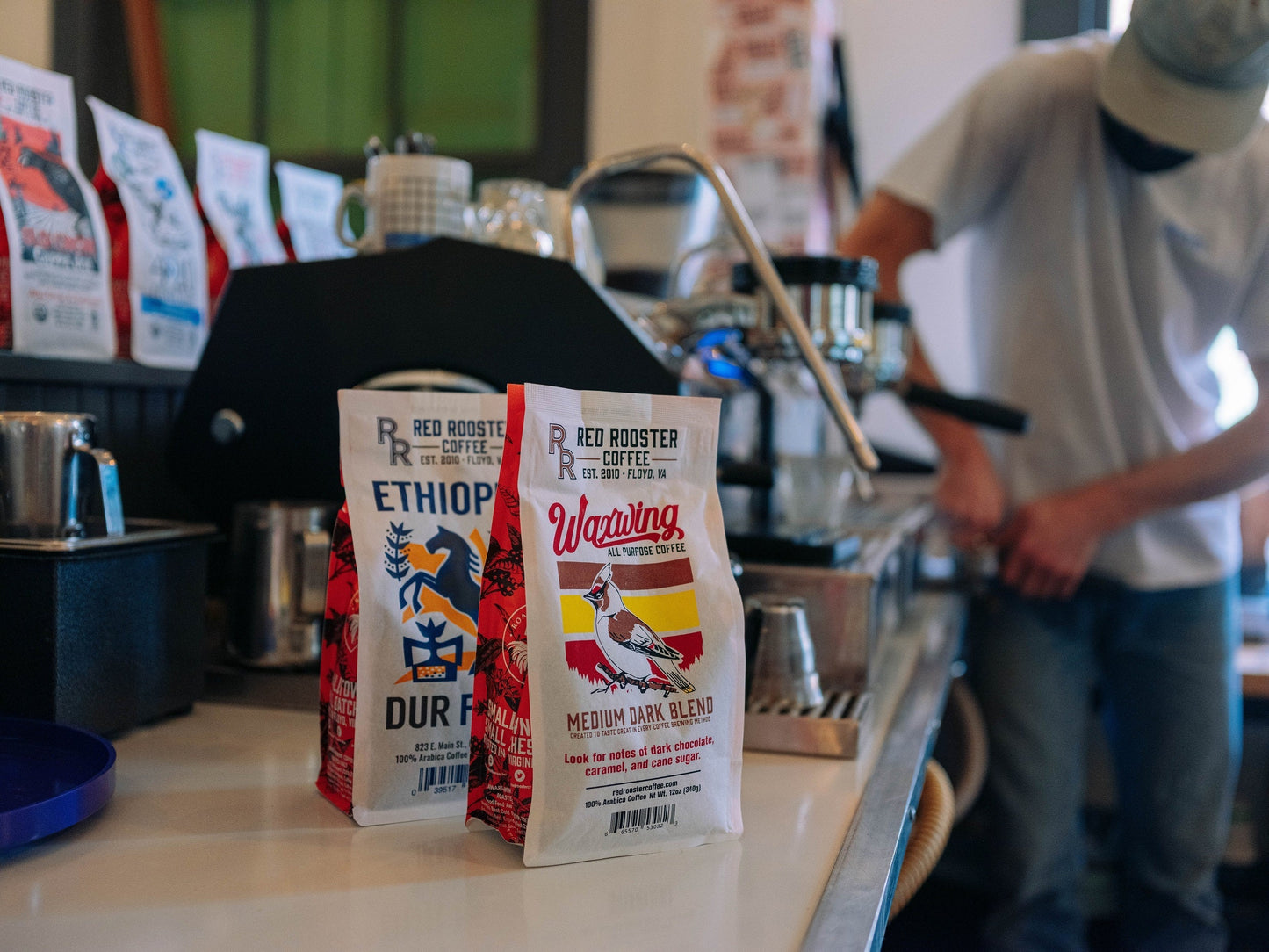 Waxwing All-Purpose Blend - Roasted Coffee for Everyday Home Brewing