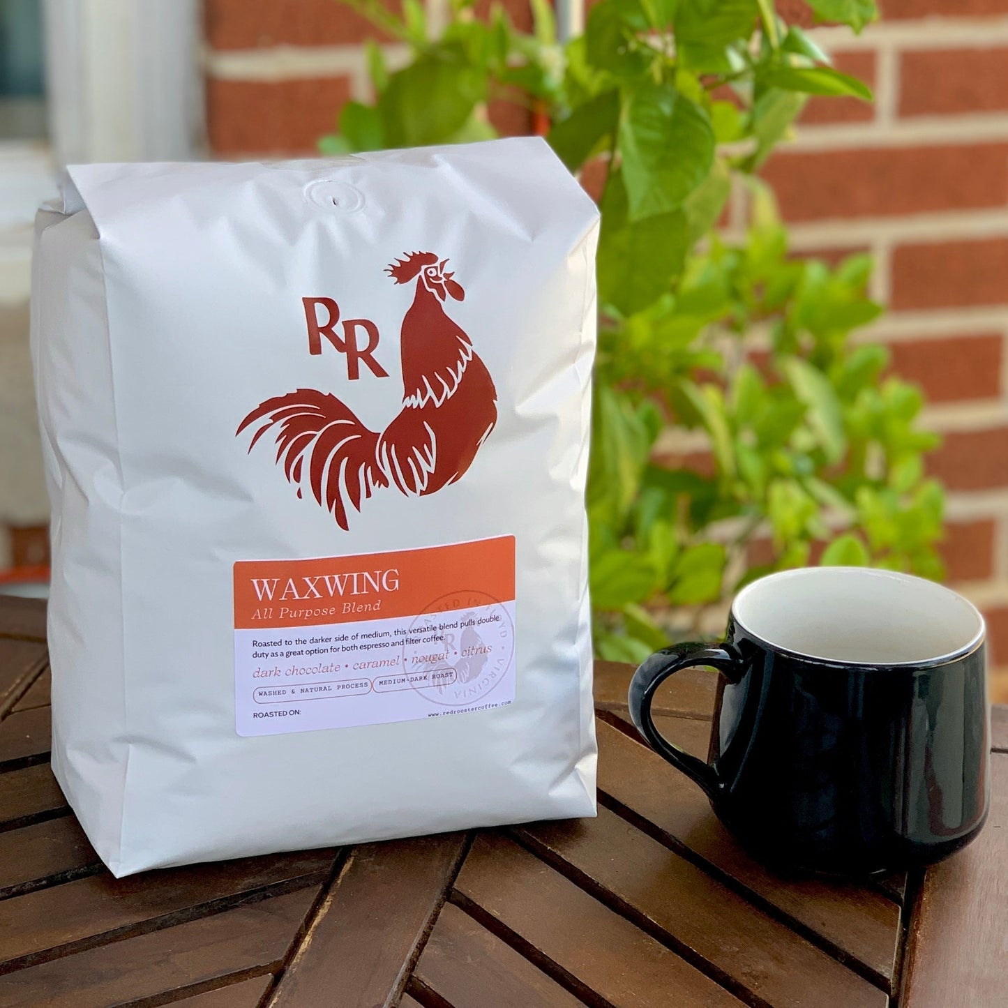 Waxwing All-Purpose Blend - Roasted Coffee for Everyday Home Brewing
