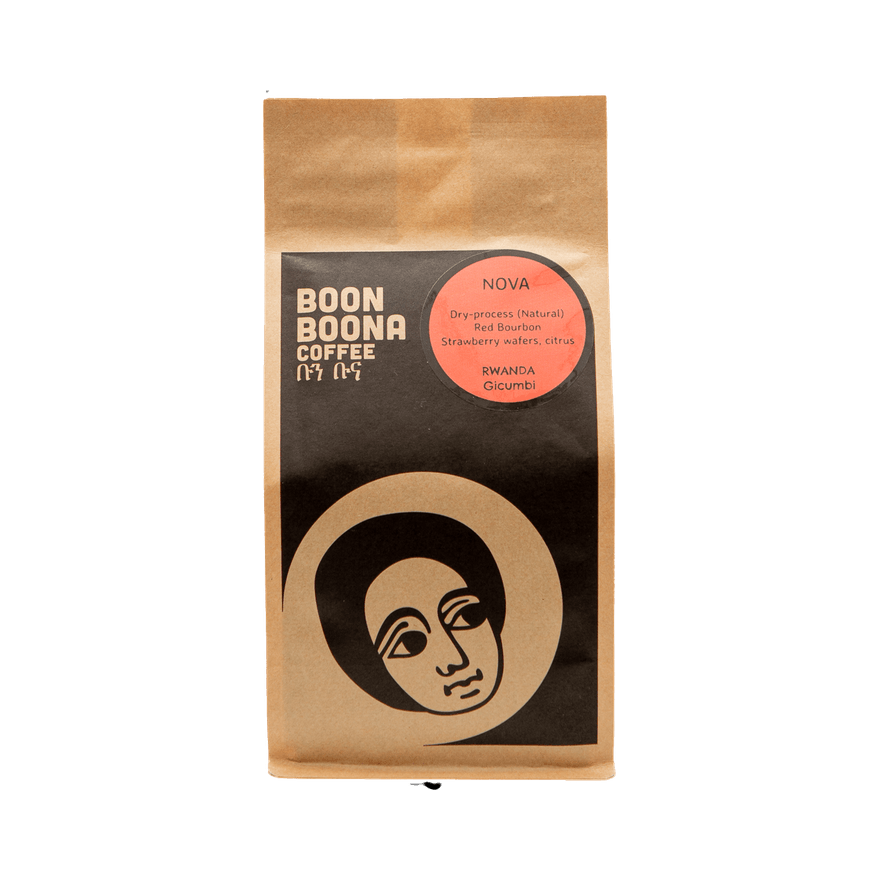 Nova 2 lb - Roasted Coffee for Everyday Home Brewing