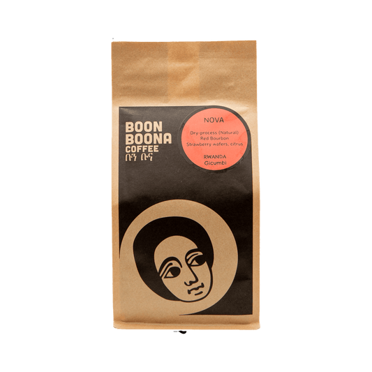 Nova 12 oz - Roasted Coffee for Everyday Home Brewing